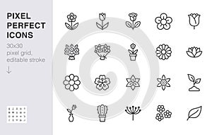 Flower line icon set. Rose, tulip in vase, fruit bouquet, spring blossom, cactus minimal vector illustration Simple