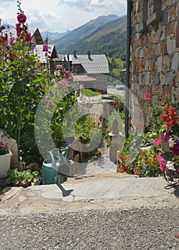 Flower lined alpine garden entrance