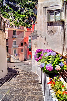 Flower lined street