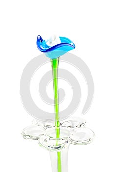 Flower made of glass in red and blue color in vase on white back