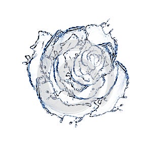 Flower made of water. rose