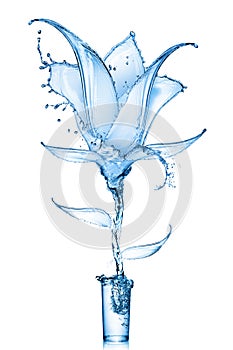 Flower made of water splashes