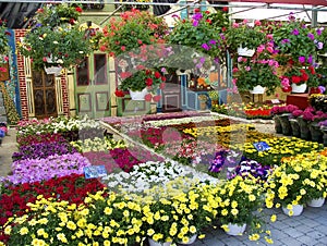 Flower market