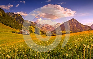 Flower meadow with snow covered mountains and traditional house in Sunset or Sunrise. Bavaria, Alps, Allgau, Oberstdorf