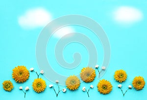 Flower meadow with yellow petals and small white blossoms, blue sky