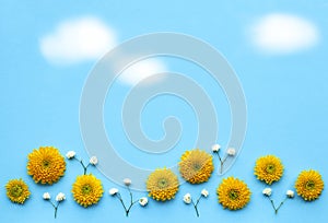 Flower meadow with yellow petals and small white blossoms, blue sky