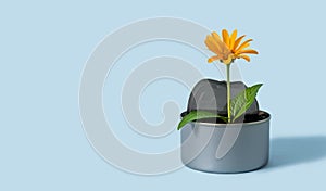 A flower in a metal jar with soil filled with canned food on a blue background. The concept of environmental pollution. Earth