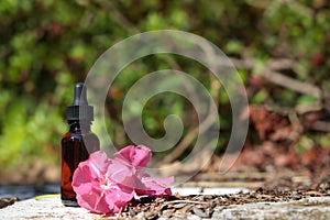 Flower mockup for presentation of cosmetic, medical product. Natural remedies, aromatherapy