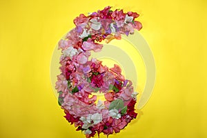 Flower numeric six number 6 digit