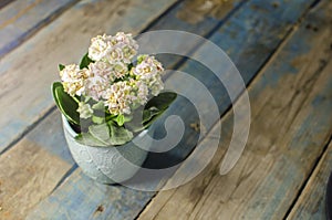 Flower on old table