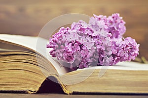 Flower on open book