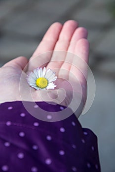 Flower in open hand