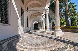 The flower ornament made of black and white pebbles on the path in Harem Topkapi Palace, Istanbul, Turkey