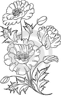 flower out line effect