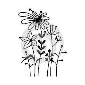 Flower outline icon design template ilustration vector