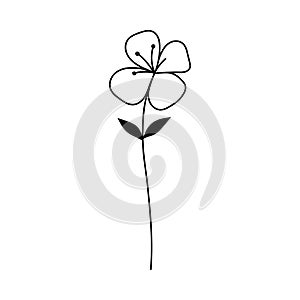Flower outline icon design template ilustration vector