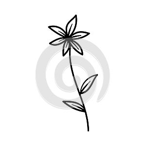 Flower outline icon design template ilustration vector