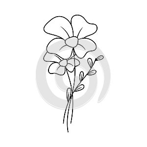 Flower outlineicon design ilustration template vector