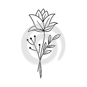 Flower outlineicon design ilustration template vector