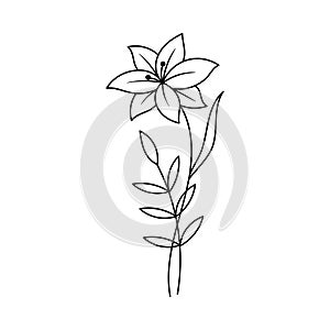 Flower outlineicon design ilustration template vector