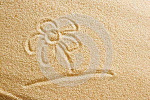 The flower is painted in the sand. Beach background. Top view. The concept of summer, summer kanikkuly, vacation, holydays