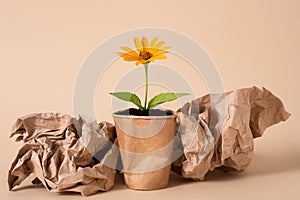 A flower in a paper cup filled with earth on a beige background. The concept of environmental pollution. Land pollution