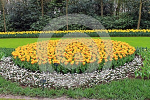 The flower paradise Keukenhof in the Netherlands.