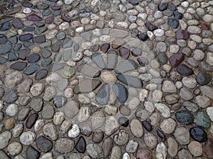 Flower Pattern Cobblestone Path