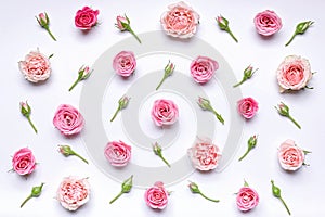 Flower pattern: flowers and rosebuds on a white background. Top view