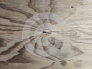 Flower pattern in multiplex wooden plank
