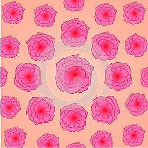 Flower pattern: pink buds of roses of a cosmece on a light peach background, located on a circle - beautiful spring print.