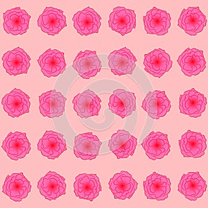 Flower pattern: pink buds of roses on light peach background, beautiful spring pattern.