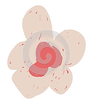 flower, flower pattern, plant flower element, handdrawn flower