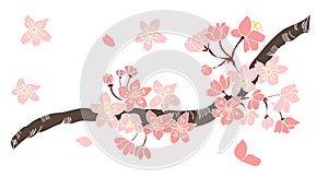 Sakura flower for printing on paper.