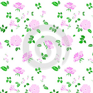 Flower pattern. Roseship