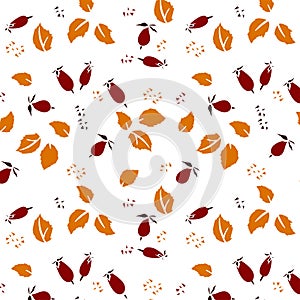 Flower pattern. Roseship and leaves.