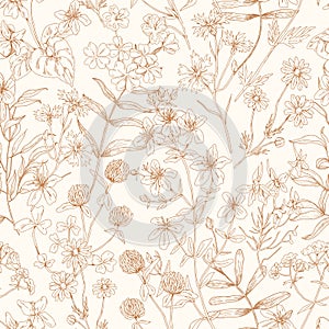 Flower pattern. Seamless background with floral herbs. Vintage botanical monochrome print with wild field and meadow