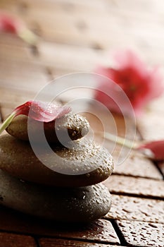 Flower petal resting on rounded pebbles.