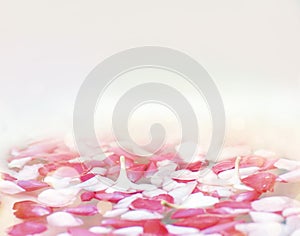 Flower petal on water background