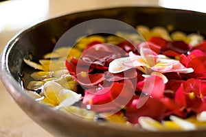 Flower petals in a bowl at a spa