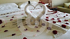 bed decoration for honeymooners photo