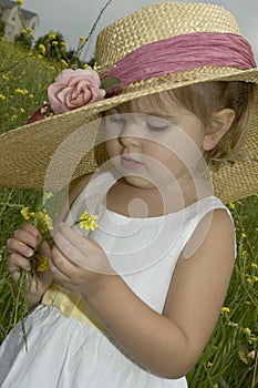 Flower Picker photo