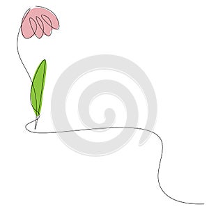Flower pink tulip on white background, vector illustration