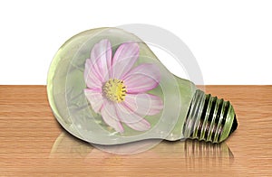 Flower plant in a light bulb idea hothouse greenhouse concept photo