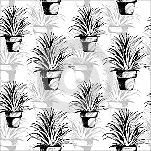 Flower plant in a pot seamless pattern, vector succulent, cactus hand drawn sketch