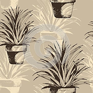 Flower plant in a pot seamless pattern, vector succulent, cactus hand drawn sketch