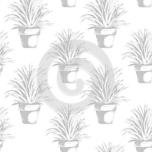 Flower plant in a pot seamless pattern, vector succulent, cactus hand drawn sketch