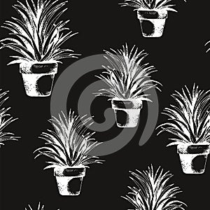 Flower plant in a pot seamless pattern, vector succulent, cactus hand drawn sketch