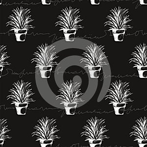 Flower plant in a pot seamless pattern, vector succulent, cactus hand drawn sketch with hand drawn text