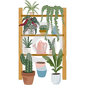 Flower plant in pot on shelf rack vector